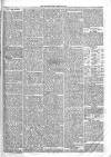 Chelsea & Pimlico Advertiser Saturday 24 December 1864 Page 7