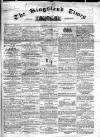 Kingsland Times and General Advertiser Saturday 14 July 1860 Page 1