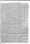 Kingsland Times and General Advertiser Saturday 01 November 1862 Page 5