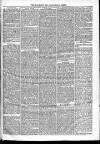 Kingsland Times and General Advertiser Saturday 22 November 1862 Page 3