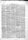 Kingsland Times and General Advertiser Saturday 03 January 1863 Page 3
