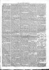 East London Advertiser Saturday 08 October 1864 Page 7