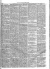 Westminster Times Saturday 25 July 1863 Page 3