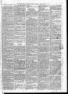 Hammersmith Advertiser Saturday 22 July 1865 Page 7