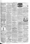 Paddington Advertiser Saturday 30 January 1864 Page 7