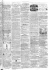 Paddington Advertiser Saturday 13 February 1864 Page 7