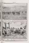The War Saturday 28 November 1914 Page 31