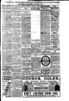 Evening News (London) Thursday 03 January 1907 Page 5