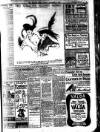 Evening News (London) Tuesday 04 November 1913 Page 7