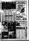 Southall Gazette Friday 19 April 1974 Page 15