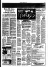 Southall Gazette Friday 11 April 1975 Page 17