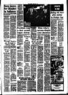 Southall Gazette Friday 04 July 1975 Page 7