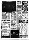 Southall Gazette Friday 15 August 1975 Page 13