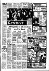 Southall Gazette Friday 06 February 1976 Page 19