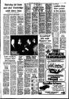 Southall Gazette Friday 06 February 1976 Page 29