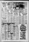 Southall Gazette Friday 14 January 1977 Page 29