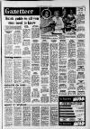 Southall Gazette Friday 28 January 1977 Page 19