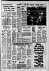 Southall Gazette Friday 28 January 1977 Page 29