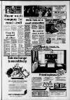 Southall Gazette Friday 04 February 1977 Page 13