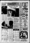 Southall Gazette Friday 04 February 1977 Page 17