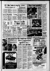 Southall Gazette Friday 04 February 1977 Page 29