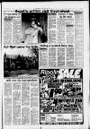 Southall Gazette Friday 18 February 1977 Page 17