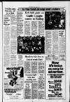 Southall Gazette Friday 18 February 1977 Page 33