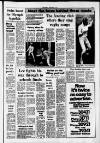 Southall Gazette Friday 18 March 1977 Page 35