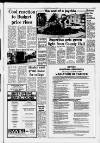 Southall Gazette Friday 01 April 1977 Page 3