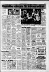 Southall Gazette Friday 27 May 1977 Page 19