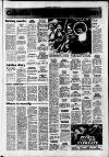 Southall Gazette Friday 29 July 1977 Page 19