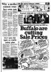 Southall Gazette Friday 27 January 1978 Page 17