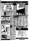 Southall Gazette Friday 08 February 1980 Page 17