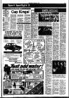 Southall Gazette Friday 11 April 1980 Page 17
