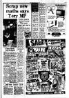 Southall Gazette Friday 20 June 1980 Page 15