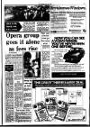 Southall Gazette Friday 04 July 1980 Page 5