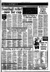 Southall Gazette Friday 14 November 1980 Page 15