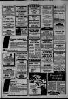 Southall Gazette Friday 28 August 1981 Page 23