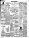 Stratford Express Saturday 13 January 1877 Page 3