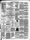 Stratford Express Saturday 10 February 1877 Page 3