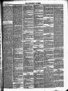 Stratford Express Saturday 31 March 1877 Page 7