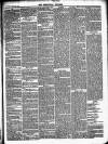 Stratford Express Saturday 28 April 1877 Page 7