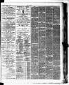 Stratford Express Saturday 04 February 1888 Page 2