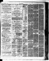 Stratford Express Saturday 25 February 1888 Page 3