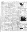 Westminster & Pimlico News Friday 09 August 1901 Page 3