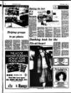 Westminster & Pimlico News Friday 01 February 1980 Page 29
