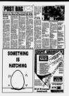 Westminster & Pimlico News Wednesday 03 February 1993 Page 5