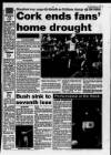 Westminster & Pimlico News Thursday 01 September 1994 Page 43