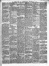Peterborough Standard Saturday 29 August 1874 Page 7