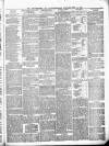 Peterborough Standard Saturday 26 June 1875 Page 3